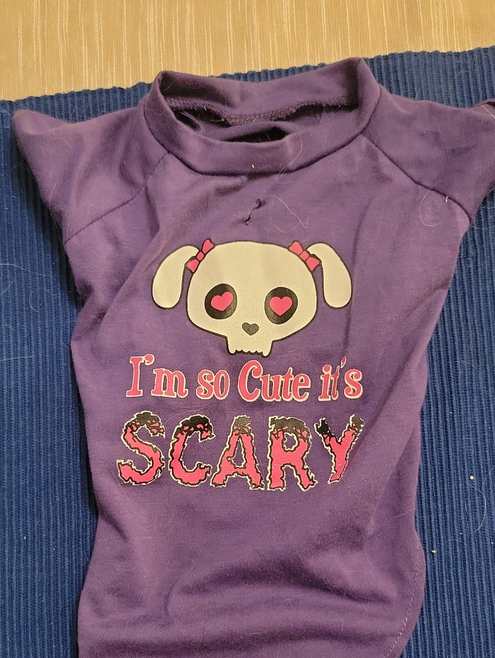 Purple Dog Shirt "I'm So Cute It's Scary"